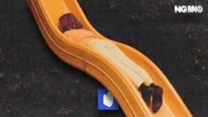 1761630012_444.jpeg