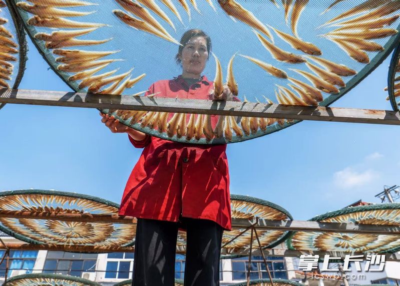 六门闸社区居民晒制风干鱼。 通讯员 许理伟 摄 六门闸社区居民晒制风干鱼。 通讯员 许理伟 摄