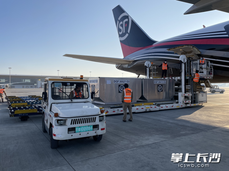 强大的物流网络让鲜花“出滇”“出海”快速高效。 强大的物流网络让鲜花“出滇”“出海”快速高效。