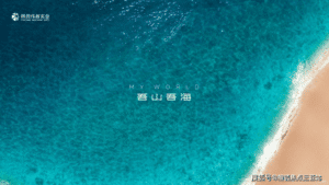 6f9ebb47-0e45-428b-bfc7-3f69f9637419.png