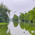 9788141494108b4ec2a4b17efb484d82watermark68fc43296b3f4.jpg