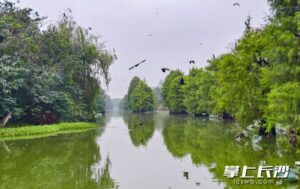 9788141494108b4ec2a4b17efb484d82watermark68fc43296b3f4.jpg