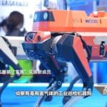 D24780417446152820372_w1920h1080.jpg