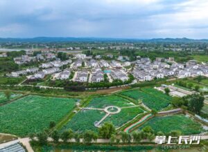 b1f5a586432a6c98e65a70cfae39f3abwatermark68f8bf0a6a042.jpg