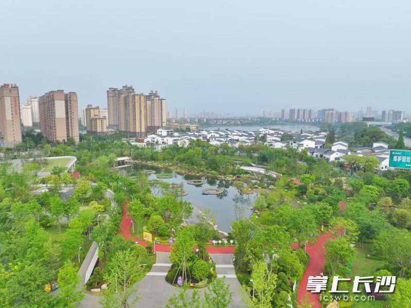 西瓜山湿地公园绿意盎然。  西瓜山湿地公园绿意盎然。