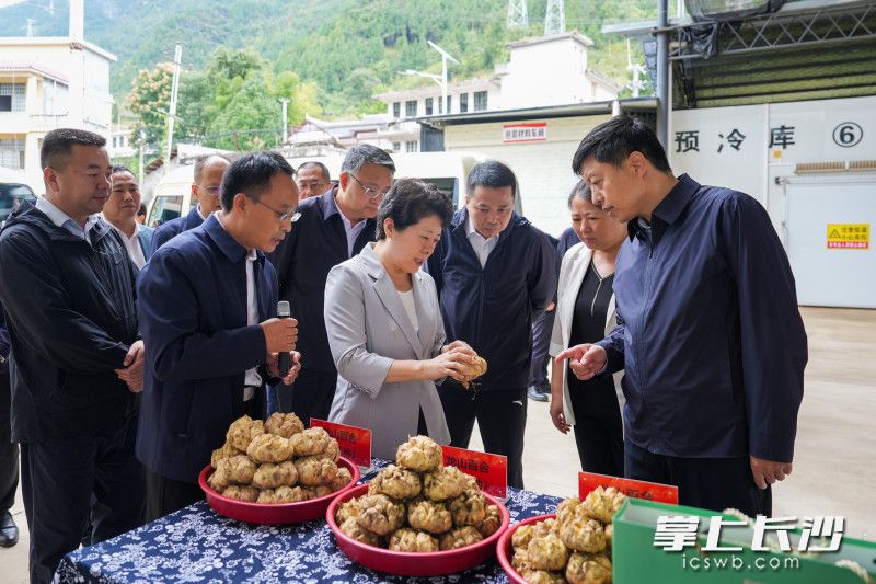 洗洛镇农副产品冷链物流中心调研现场。