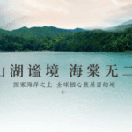 e1687553-0ad5-4806-bde2-c0ae13d8bac5.png