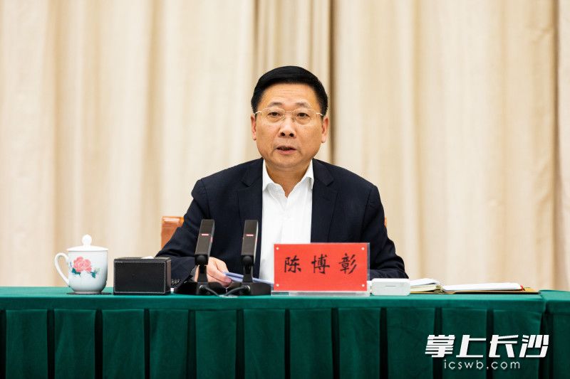 市委副书记、代市长陈博彰讲话。 均为长沙晚报全媒体记者 董阳 摄
