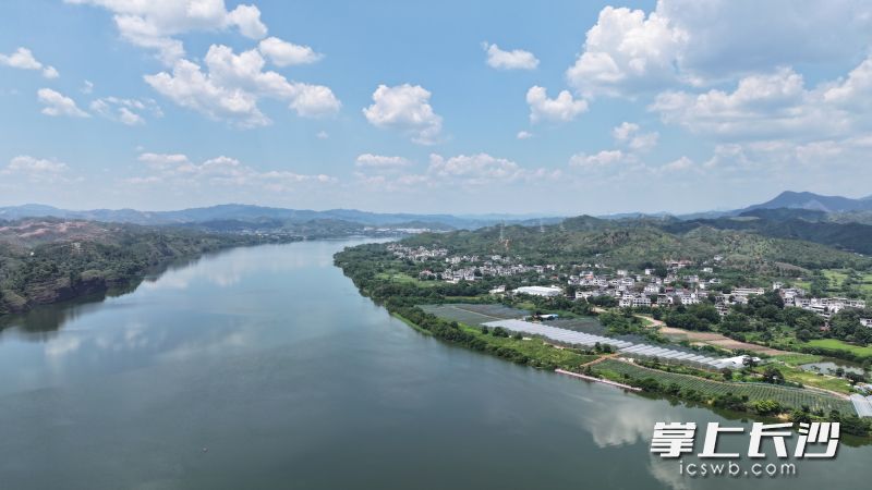 白涧村紧邻赣江,一湾碧水绕村而过。 白涧村紧邻赣江,一湾碧水绕村而过。