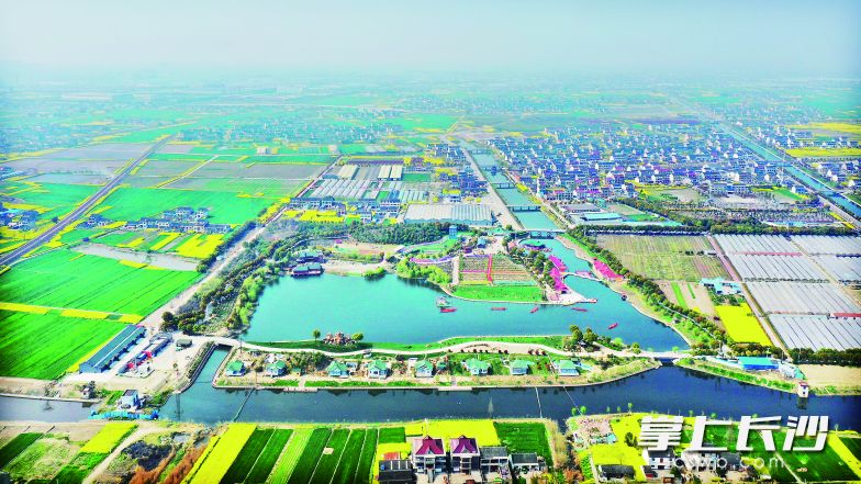 风景如画的祁巷村全貌 朱敏丽 丁松骏 摄 风景如画的祁巷村全貌 朱敏丽 丁松骏 摄