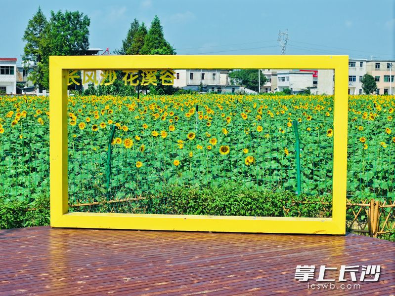 将军村花溪谷一隅。 将军村花溪谷一隅。