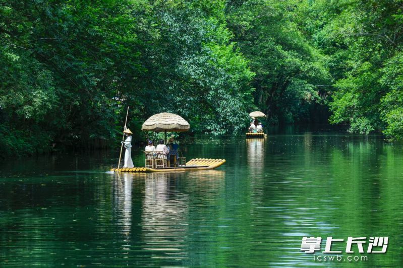 荡舟西溪南。 均为黄山日报记者樊成柱摄 荡舟西溪南。 均为黄山日报记者樊成柱摄
