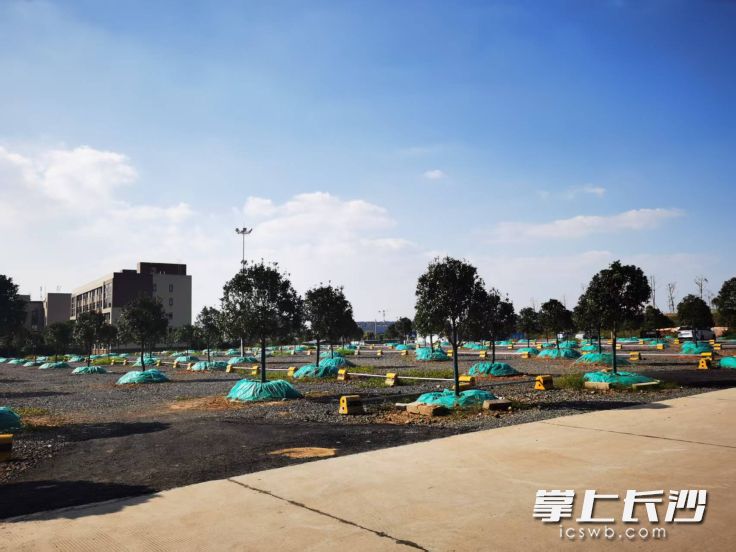 长沙县黄兴镇大众村生态停车场。