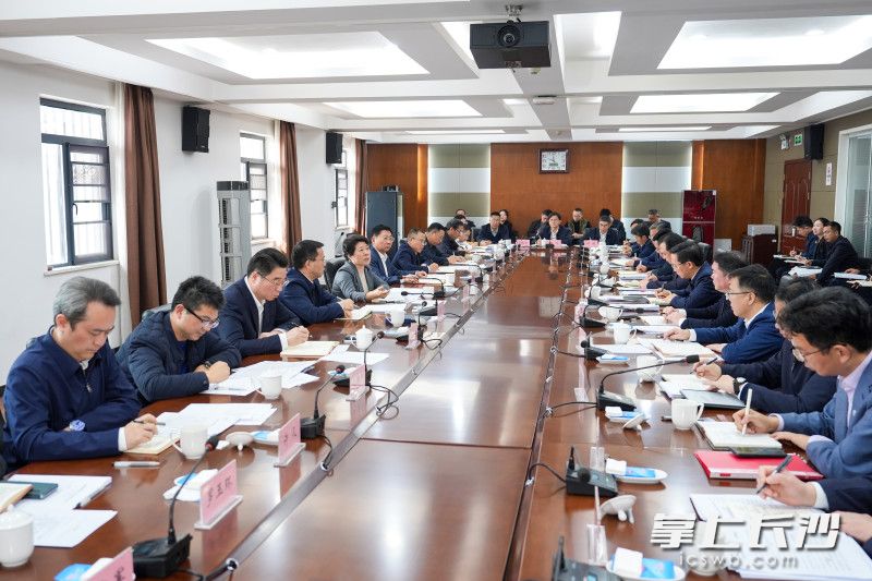 座谈会现场。 均为长沙晚报全媒体记者 郭雨滴 摄 座谈会现场。 均为长沙晚报全媒体记者 郭雨滴 摄