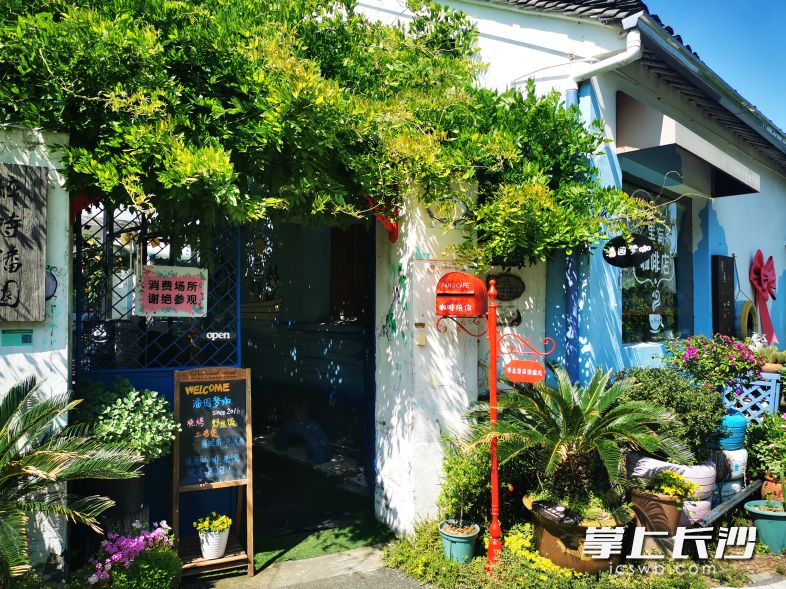 “潘园梦咖”内村咖飘香。图片均由新仓村提供 “潘园梦咖”内村咖飘香。图片均由新仓村提供