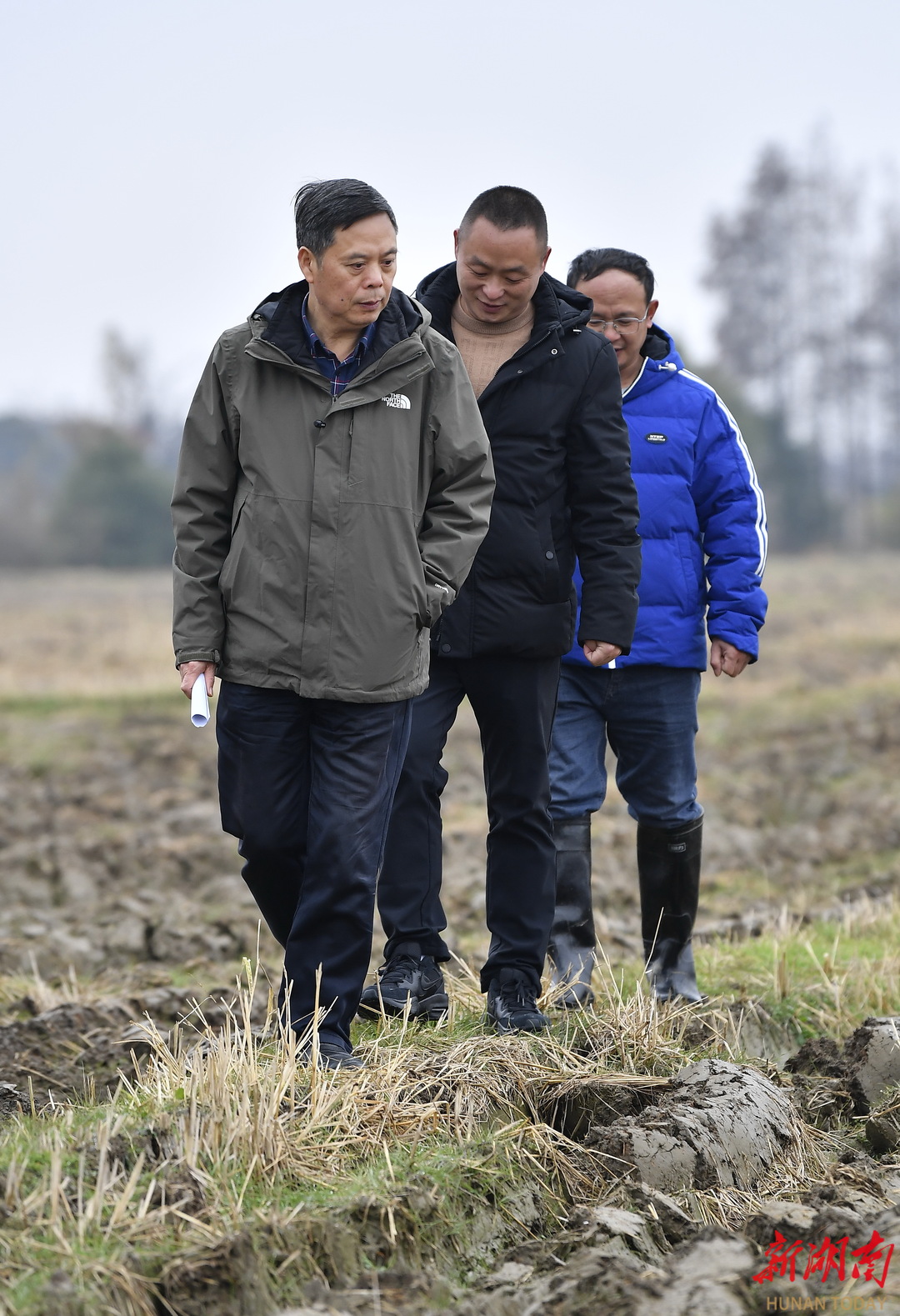 1月5日，长沙市望城区乔口镇田心坪村，李稳香（左一）在调研。湖南日报全媒体记者 童迪 摄