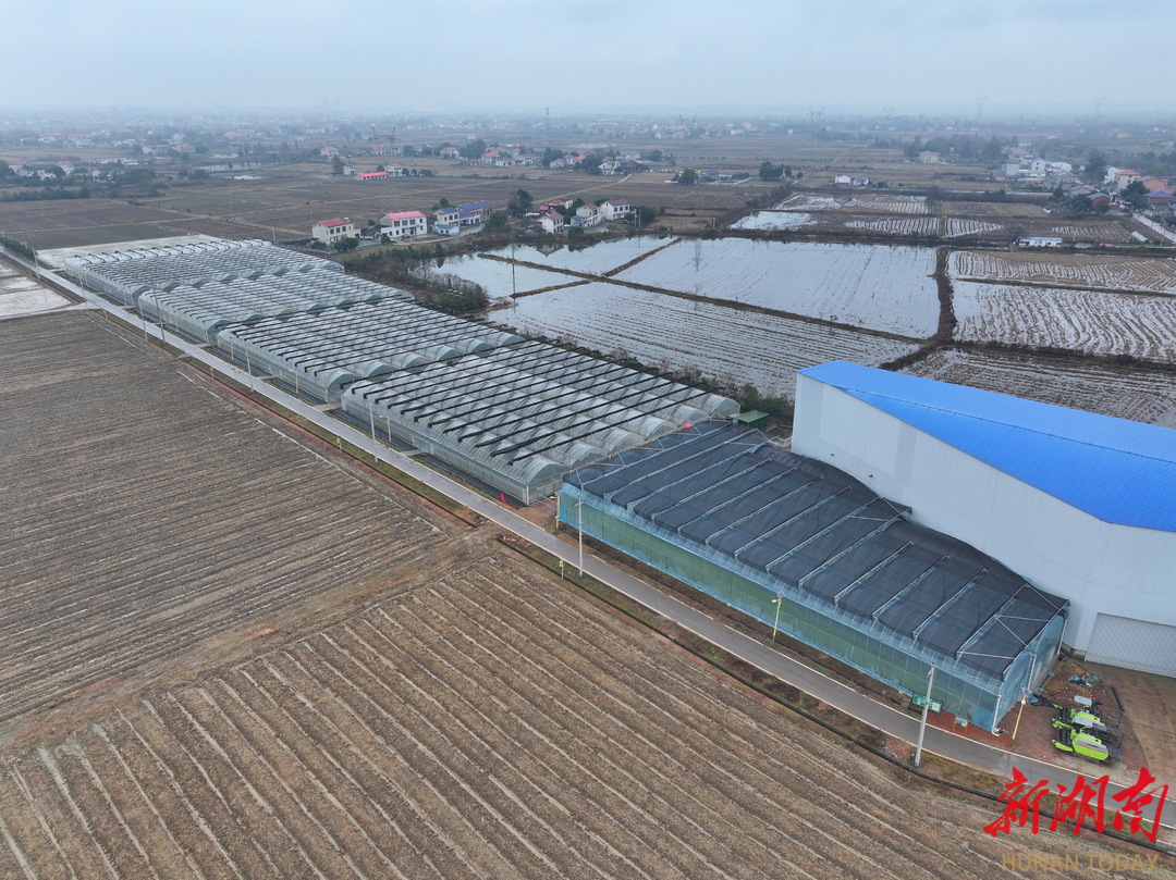 1月5日，长沙市望城区靖港镇复胜村，现代化的种植大棚。 湖南日报全媒体记者 童迪 摄